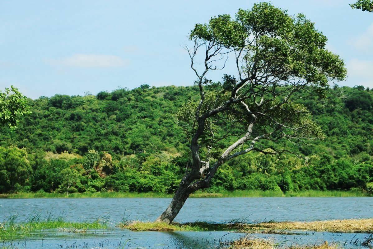 Athena Lake By Seedevi Dambulla Ngoại thất bức ảnh